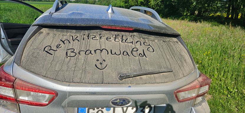 Eindrücke aus 2024